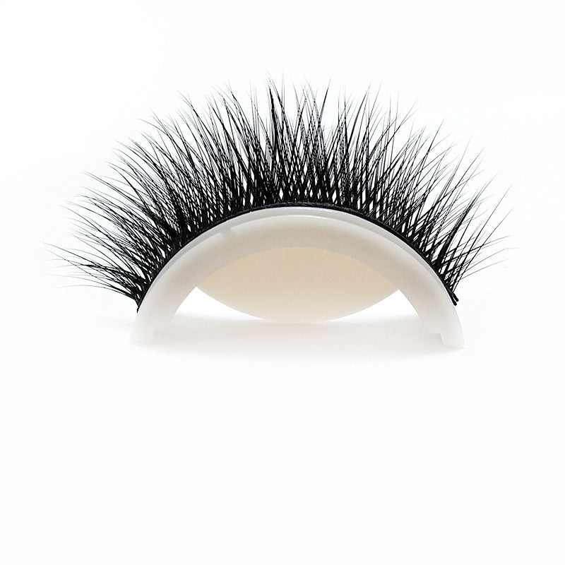 Strip 5D Eyelashes